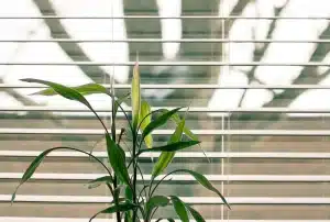 Read more about the article Window Treatment Installation Services: The Ultimate Guide to Upgrade Your Home