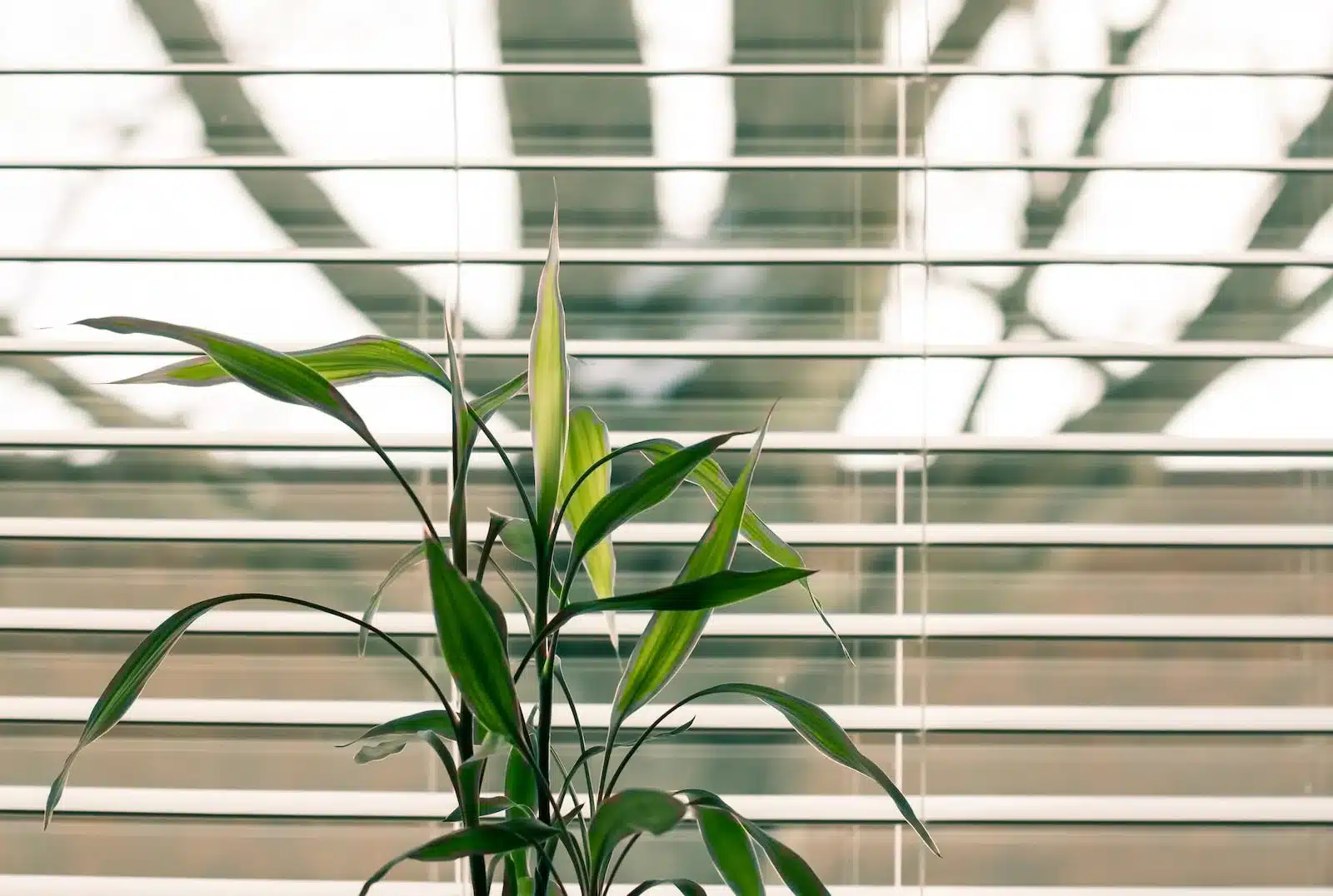 You are currently viewing Window Treatment Installation Services: The Ultimate Guide to Upgrade Your Home