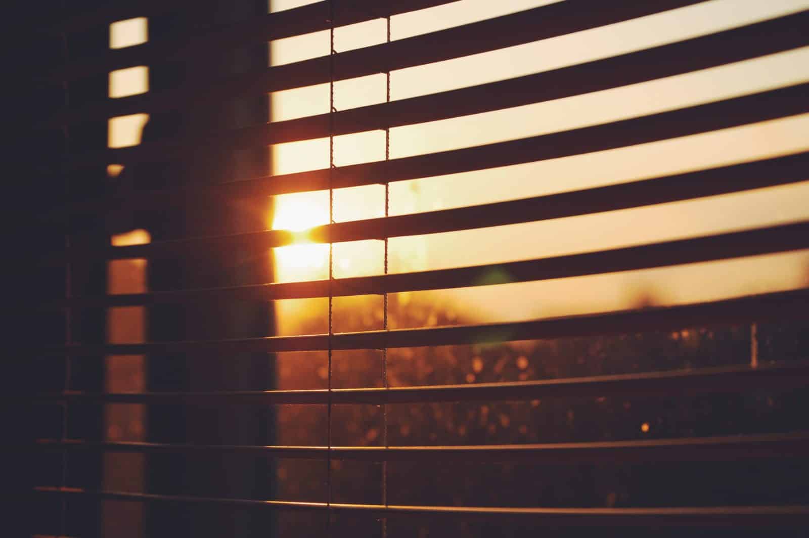 You are currently viewing Energy Efficiency and Style: The Benefits of Cellular Shades